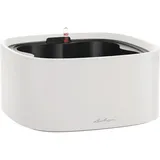 LECHUZA Pila Color Stick 35 x 35 x 17 cm lichtgrau