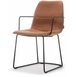 freistil - 117 Armlehnstuhl, cognac (9224)