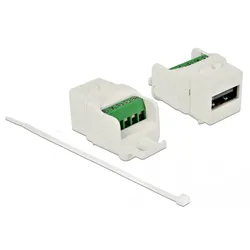 Delock Modulare Eingabe - USB 2.0 Type A