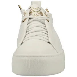 Paul Green 5017 white 38