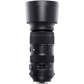 Sigma 60-600 mm F4,5-6,3 DG OS HSM (S) Nikon F