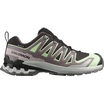 Salomon XA Pro 3D V9 GTX Damen Black/Patina Green/Gray Violet 42