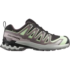 Salomon XA Pro 3D V9 GTX Damen Black/Patina Green/Gray Violet 42