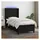 vidaXL Boxspringbett 100 x 200 cm Schwarz