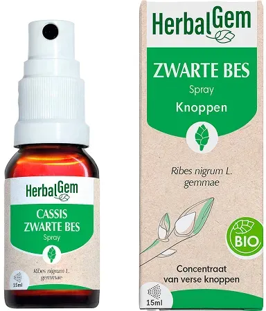 HerbalGem Schwarze Johannisbeere Konzentrierte Muttermazerate Bio Spray 15ml