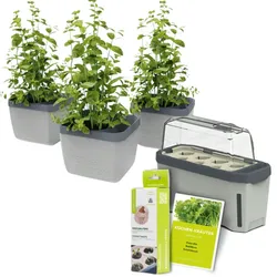 Gusta Garden Stadtkräutergarten-Set 6-teilig, hellgrau