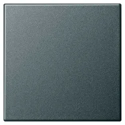 Gira 029628 WIPPE AUS/WECHSEL A