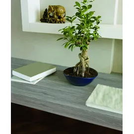 d-c-fix Klebefolie Sheffield Oak Perlgrau 67,5 cm x 200 cm