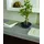d-c-fix Klebefolie Sheffield Oak Perlgrau 67,5 cm x 200 cm