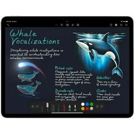 Apple iPad Air 13" (7. Generation 2025) 1 TB Wi-Fi Space Grau