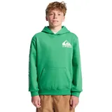 QUIKSILVER Omni Logo Green 16