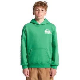 QUIKSILVER Omni Logo Green 16