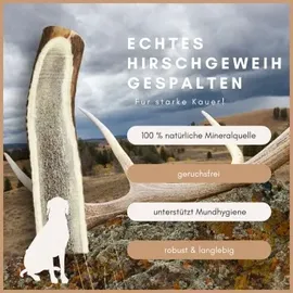 Supravit Gespaltenes Hirschgeweih S