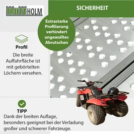 Baumarktplus DREIBREIT by TRUTZHOLM 2-fach Auffahrrampe klappbar 175 cm 1020 kg Alu grau gelocht Verladerampe