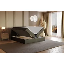 altdecor NOX 160 x 200 cm H3 Schwarz