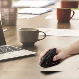 Renkforce RF-WM-322 schwarz