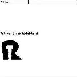 F. REYHER Nchfg. GmbH & Co. KG Ankernagel R 89807 4 x 50 250 Stück