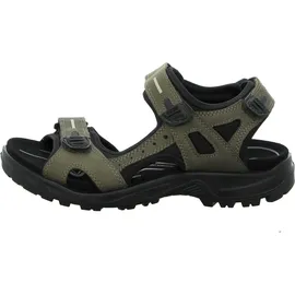 ECCO Offroad Herren Khaki/Schwarz 47