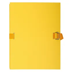 Exacompta 223035E 25x AKTENMAPPEN EINBANDDECKEL LEINEN SORTIER - Gelb