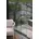 4 5 m quarzgrau-metallic 4 2 x 0 2349 x 0 09 m Grau