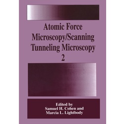 Atomic Force Microscopy/Scanning Tunneling Microscopy 2, Kartoniert (TB)