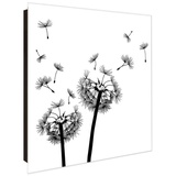 banjado banjado® Schlüsselkasten mit Glasfront schwarz rechts öffnend Motiv Pusteblume 2
