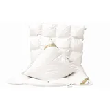 Betten Hofmann Set leichte Ganzjahresdecke Daunendecke 4x6 135x200 + Kissen 80x80
