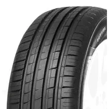 MINERVA 209 185/60 R15 88H XL