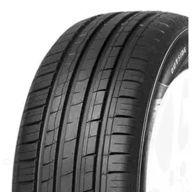MINERVA 209 185/60 R15 88H XL