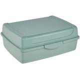 keeeper Frischhaltedose mit Klickverschluss, 17 x 13 x 7 cm, 1 l, Luca Midi, Nordic Green