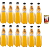 San Benedetto Ginger Biondo Zero PET 12x0,75L +Polpa