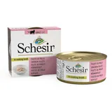 Schesir Hühnerfilet 24 x 70 g