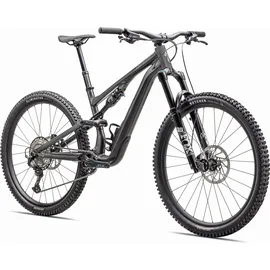 Specialized Stumpjumper 2025 29 Zoll RH 54 cm Unisex Gloss Smoke / Cool Grey
