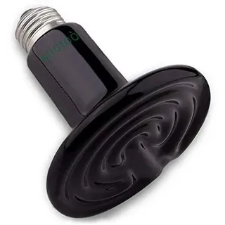 AIICIOO Terrarium Waermelampe Keramik Reptilien Wärmelampe Tiere für Eidechse/Bartagame/Hühner/SchlangeKein Licht um die Augen der Tiere zu Schützen 220V E27 (75W)