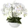 Creativ green künstliche Pflanze Phalaenopsis, 54cm, "Real Touch"
