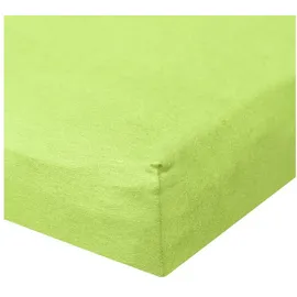 BettwarenShop Spannbettlaken Baumwolle-Jersey-Elasthan 120 x 200 - 130 x 220 cm grün