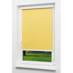 Lysel Outlet - Kassettenrollo abdunkelnd Zinkgelb, (B x H) 90cm x 175cm in gelb/Zinkgelb