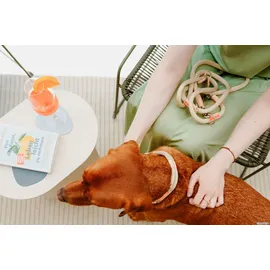 Hunter Verstellbare Führleine Malia 10/200, beige/natur