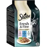 Sheba Fresh & Fine Lachs, Thunfisch & Forelle in Sauce 72 x 50 g