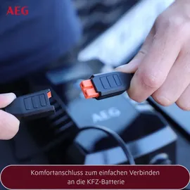AEG Batterieladegerät 10618