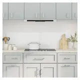 vidaXL Küchenrückwände 2 Stk. Transparent 80x50 cm Hartglas