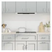 vidaXL Küchenrückwände 2 Stk. Transparent 80x50 cm Hartglas