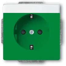 Busch-Jaeger Steckdoseneinsatz 20 EUCNB-13-82 Grün