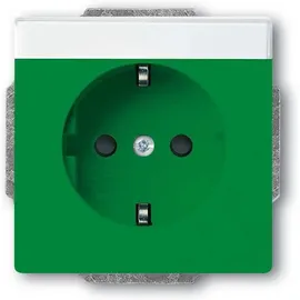 Busch-Jaeger Steckdoseneinsatz 20 EUCNB-13-82 Grün