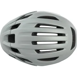 Alpina Paranus MIPS 55-59 cm grau 2025