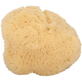 Niyok Gesichtsschwamm