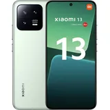 8 GB RAM 256 GB Flora Green