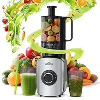 Homelux Entsafter 220W Slow Juicer 126 MM Einfüllschacht für
