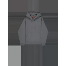Alpha Industries DTM Alpha Hoodie grau 2