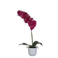 Mica decorations Mica Kunstpflanze Phalaenopsis im Topf violett, 60